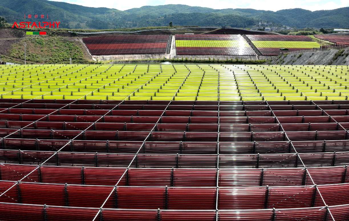 夏耗秋養，蝦青素幫你拿捏！